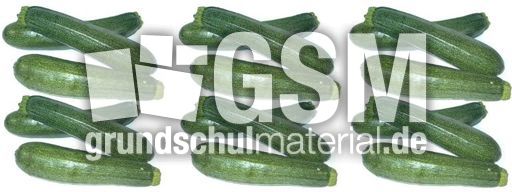 Zucchini-3x6.jpg